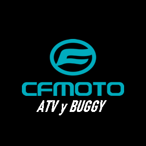 CF MOTO BUGGY vs QUAD