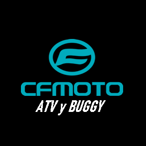 CF MOTO BUGGY vs QUAD